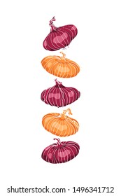 Vector card with hand drawn red and yellow Cipollini onion bulbs. Beautiful food design elements, ink drawing