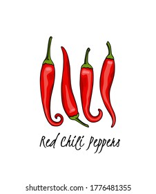 Tarjeta vectorial con pimientos picantes de Tabasco rojos a mano. Bonitos elementos de diseño de comida, dibujo de tinta. Perfecto para la industria alimentaria