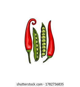 Vector card with hand drawn red hot Tabasco peppers and green pea pods. Beautiful food design elements, ink drawing. Perfect for food industry