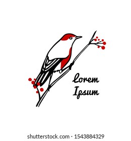 Vector card with hand drawn red-breasted bird with red berries made with ink. Beautiful animal design elements, logo template