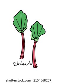 Vector card with hand drawn Rhubarb leafstalks made in graphic way. Ink drawing. Beautiful healthy food or farm markets design elements