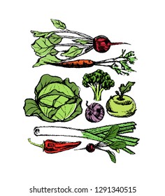 Vector card with hand drawn ripe vegetables. Beautiful food design elements, charcoal drawing