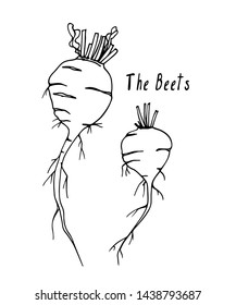 Vector card with hand drawn ripe beetroot. Beautiful food design elements, ink drawing