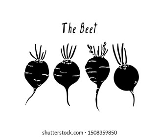 Vector Card With Hand Drawn Ripe Beets. Beautiful Food Design Elements, Ink Drawing,  Linocut Style