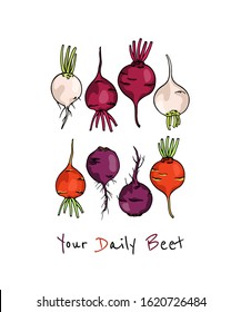 Vector card with hand drawn ripe colorful beets. Beautiful food design elements, ink drawing