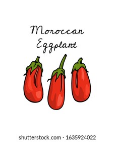 Vector card with hand drawn ripe Red Moroccan eggplants. Cool vegetable print, ink drawing, beautiful food design elements.