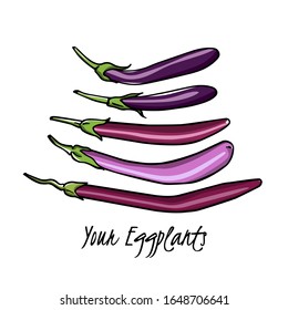 Vector card with hand drawn ripe long eggplants. Cool vegetable print, beautiful food design elements.