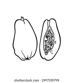 Vector card with hand drawn ripe papayas. Beautiful healthy food design elements, summer fruit illustration. Ink drawing, graphic style