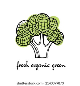Vector card with hand drawn ripe broccoli made in graphic way. Ink drawing. Beautiful healthy food or farm markets design elements
