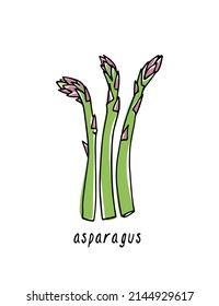 Vector card with hand drawn ripe asparagus stems made in graphic style. Ink drawing. Beautiful healthy food or farm markets design elements