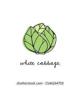 Vector card with hand drawn ripe white cabbage head made in graphic way. Ink drawing. Beautiful healthy food or farm markets design elements