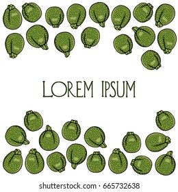 Vector card with hand drawn ripe zucchini. Cool vegetable print, beautiful design elements