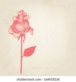 Vector card with hand drawn rose