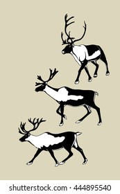 Vector card with hand drawn running reindeers. Beautiful ink animalistic drawing.