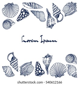 Vector card with hand drawn seashells. Beautiful marine design elements.