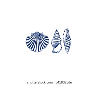 Vector card with hand drawn seashells. Beautiful marine design elements.