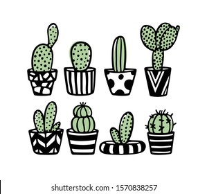 Vector card with hand drawn set of cacti in painted pots. Ink drawing, graphic style. Beautiful design elements.