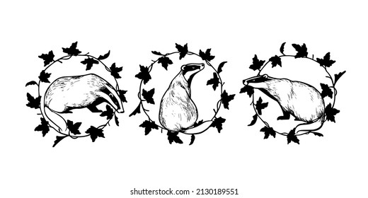 Vector card with hand drawn set of sweet Badgers in graceful black floral wreath made with ink. Perfect animal design elements, logo template