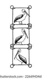 Vector card with hand drawn set of graceful pelicans in nautical rope frames. Ink drawing, decorative graphic style. Beautiful animal design elements, perfect for logo design