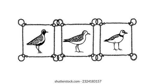 Vector card with hand drawn set of cute waders in nautical rope frames. Ink drawing, decorative graphic style. Beautiful animal design elements, perfect for logo design