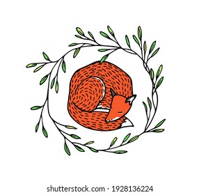 Vector card with hand drawn sleeping red fox in graceful floral wreath. Beautiful wild nature design elements, ink drawing. 