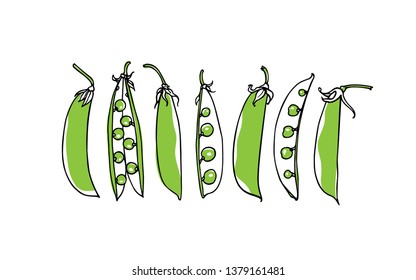 Vector card with hand drawn snow pea pods. Beautiful food design elements, ink drawing