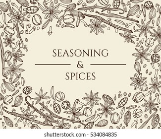 Vector card with hand drawn spices. Beautiful food design elements, perfect for any business related to the food industry.