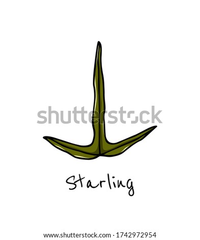 Vector card with hand drawn Starling Ivy leaf. Beautiful floral design elements, ink drawing