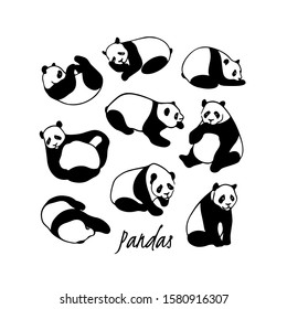 Vector card with hand drawn sweet playful pandas. Ink drawing, beautiful animal design elements. Logo template