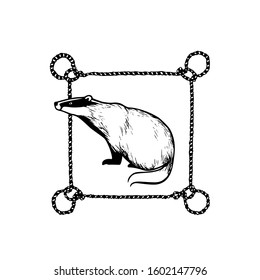 Vector card with hand drawn sweet badger in nautical rope frame made with ink. Perfect animal design elements, logo template