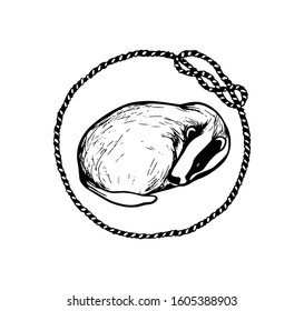 Vector card with hand drawn sweet badger in nautical rope frame made with ink. Perfect animal design elements, logo template