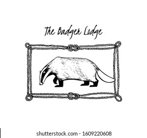 Vector card with hand drawn sweet badger in nautical rope frame made with ink. Perfect animal design elements, logo or branding template