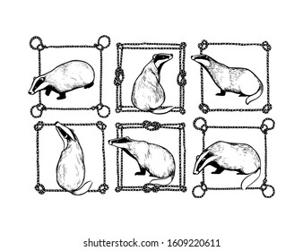 Tarjeta vectorial con botones dulces dibujados a mano en marcos de cuerda náutica hechos con tinta. Elementos de diseño animal perfectos, plantilla de logotipo
