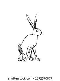 Tarjeta vectorial con liebre dulce extraída a mano. Elementos de diseño perfectos, bella ilustración animal, dibujo de tinta