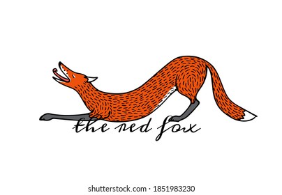 Vector card with hand drawn sweet stretching red fox. Beautiful animals design elements, ink drawing. Wonderful illustration of a wild animal made in cartoonish style.