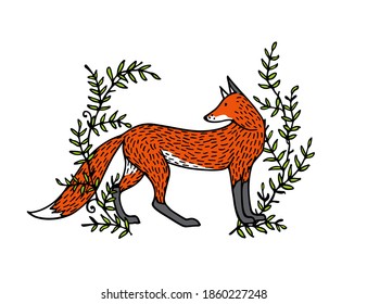 Vector card with hand drawn sweet red fox in green leafy wreath. Beautiful wild nature design elements, ink drawing. Wonderful illustration of a wild animal made in sweet cartoonish style.