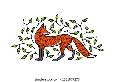 Vector card with hand drawn sweet sleepy red fox around green leafy twigs. Beautiful animals design elements, ink drawing. 