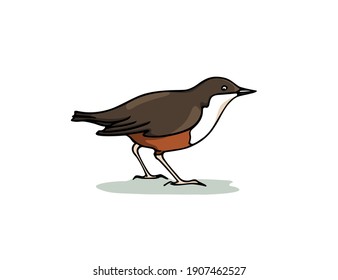 Vector card with hand drawn sweet White-throated Dipper made with ink. Perfect animal design elements, logo template