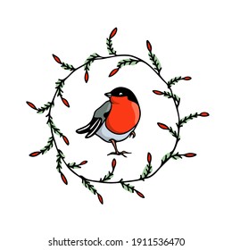 Vector card with hand drawn sweet bullfinch in winter floral wreath made with ink. Perfect animal design elements, logo template