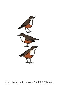 Vector card with hand drawn sweet White-throated Dippers made with ink. Perfect animal design elements