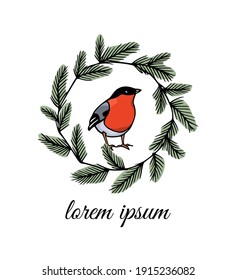 Vector card with hand drawn sweet bullfinch in winter pine wreath made with ink. Perfect animal design elements, logo template