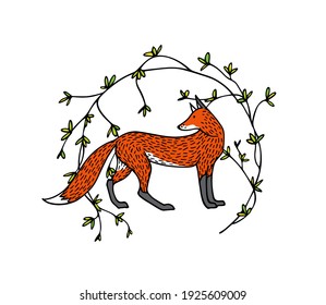 Vector card with hand drawn sweet red fox in graceful floral wreath. Beautiful wild nature design elements, ink drawing. 