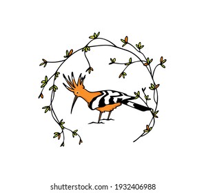 Vector card with hand drawn sweet Hoopoe in graceful floral wreath. Ink drawing, graphic style. Beautiful animal design elements.