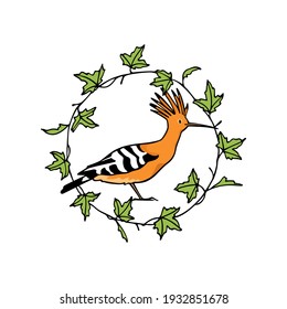 Vector card with hand drawn sweet Hoopoe in graceful leafy floral wreath. Ink drawing, graphic style. Beautiful animal design elements.