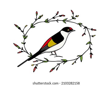 Vector card with hand drawn sweet Manakin bird in graceful floral wreath made with ink. Perfect animal design elements, logo template