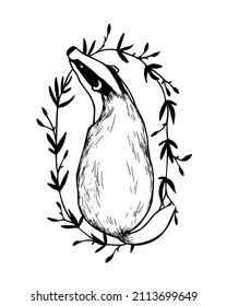 Vector card with hand drawn sweet Badger in graceful black floral wreath made with ink. Perfect animal design elements, logo template