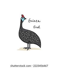 Vector card with hand drawn sweet helmeted guinea fowl made in cartoon style. Ink drawing, graphic illustration, heavy contour. Beautiful design elements