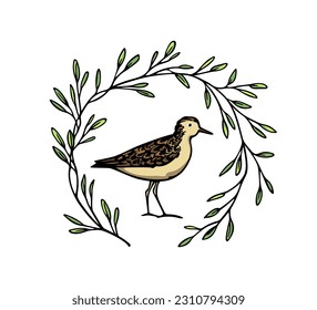Vector card with hand drawn sweet sandpiper in graceful floral wreath. Beautiful animal design elements, ink drawing, logo template