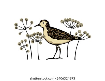 Vector card with hand drawn sweet sandpiper in graceful flowers. Ink drawing, graphic style. Beautiful wildlife or nature design elements, perfect for logo design