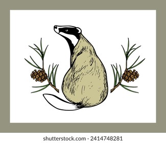 Vector card with hand drawn sweet badger in pine wreath. Perfect design elements, ink drawing, wild animal illustration